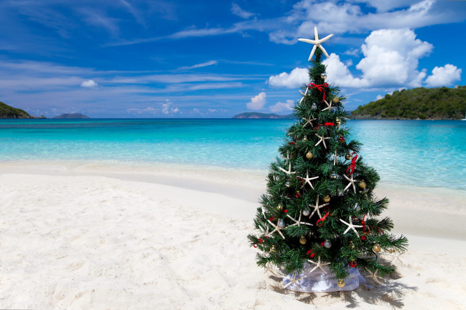 Christmas tree at a tropical beach in the Caribbean