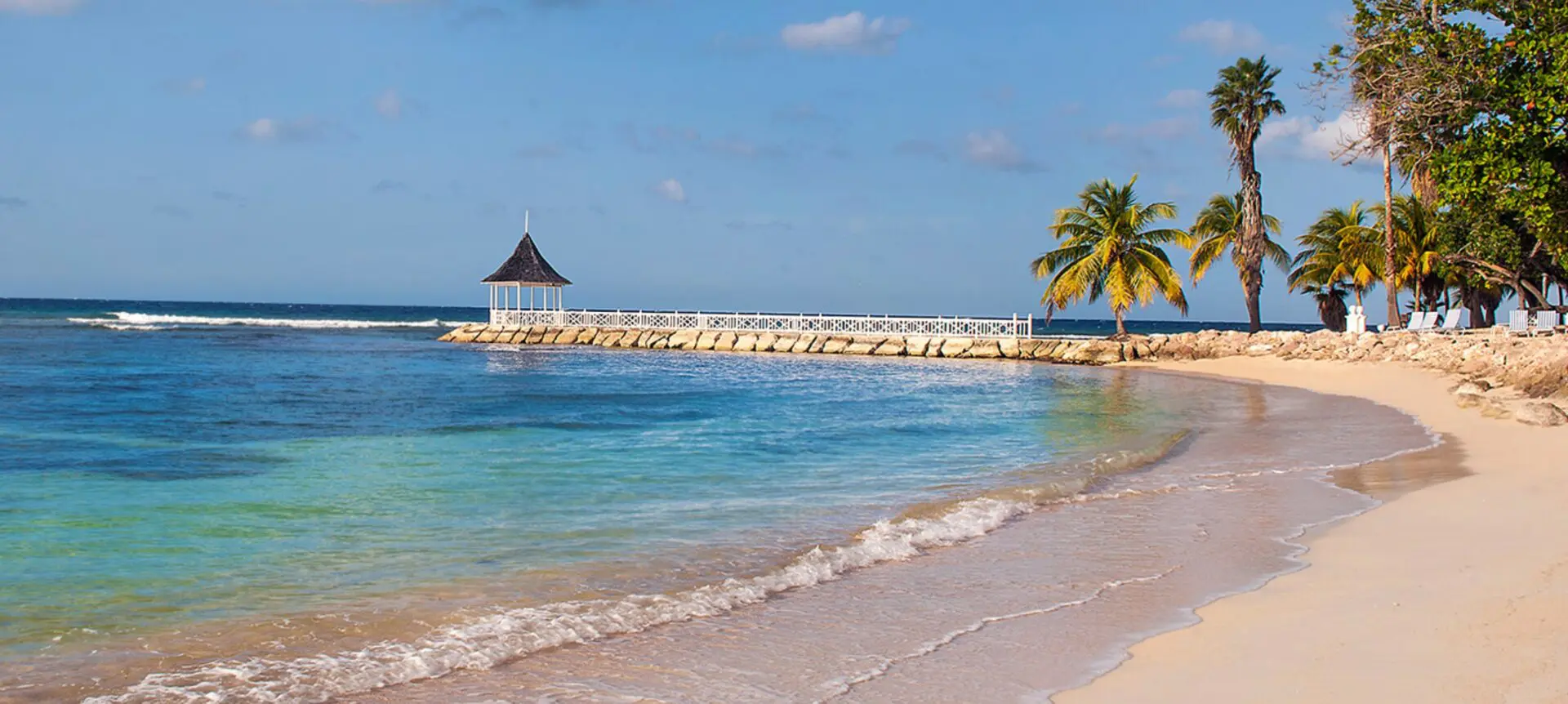 beautiful view of a beach and trees